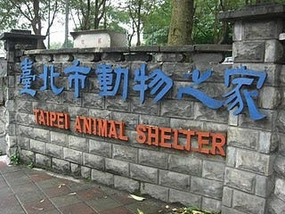 台北市流浪動物之家入口。陳郁雯／攝影