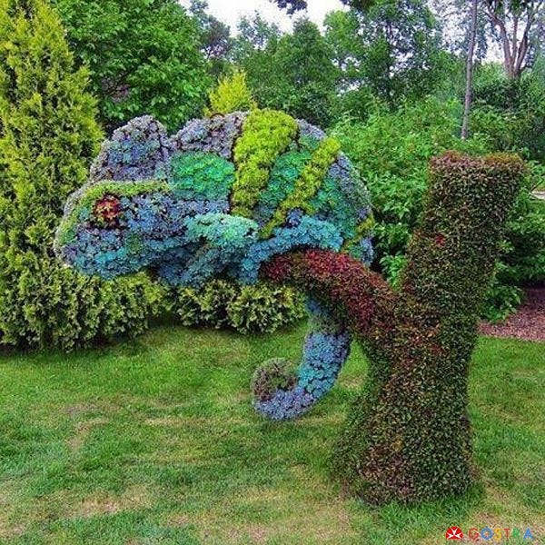 iguana made of flowers