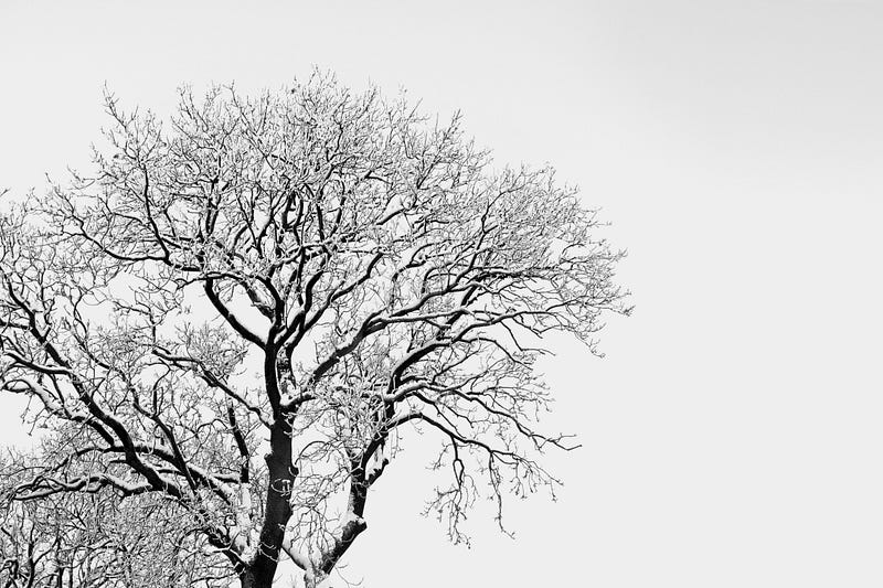 Solving the “Sum Tree Branches From Root to Leaf” Problem in JavaScript