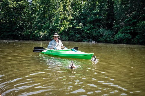 Lake Oolenoy Kayaking-30