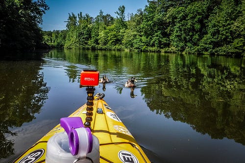 Lake Oolenoy Kayaking-23