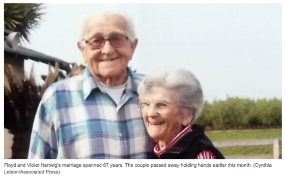 Screen Shot 2016-04-28 at 5.32.06 PM