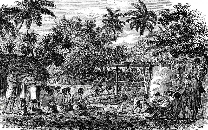 Fig. 5: A pre-colonial Hawaii marked by peace with one another and with nature (Mortlock)