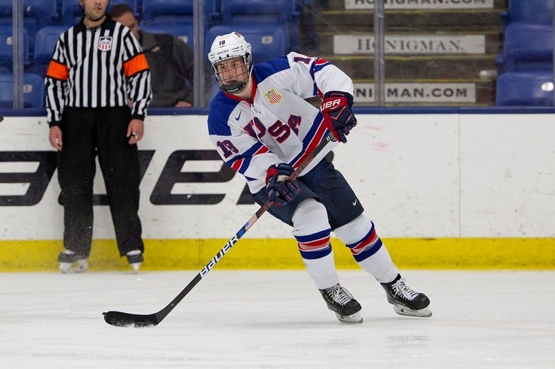 Patrick Moynihan Swamp Rabbits