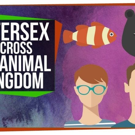 Intersex Across the Animal Kingdom