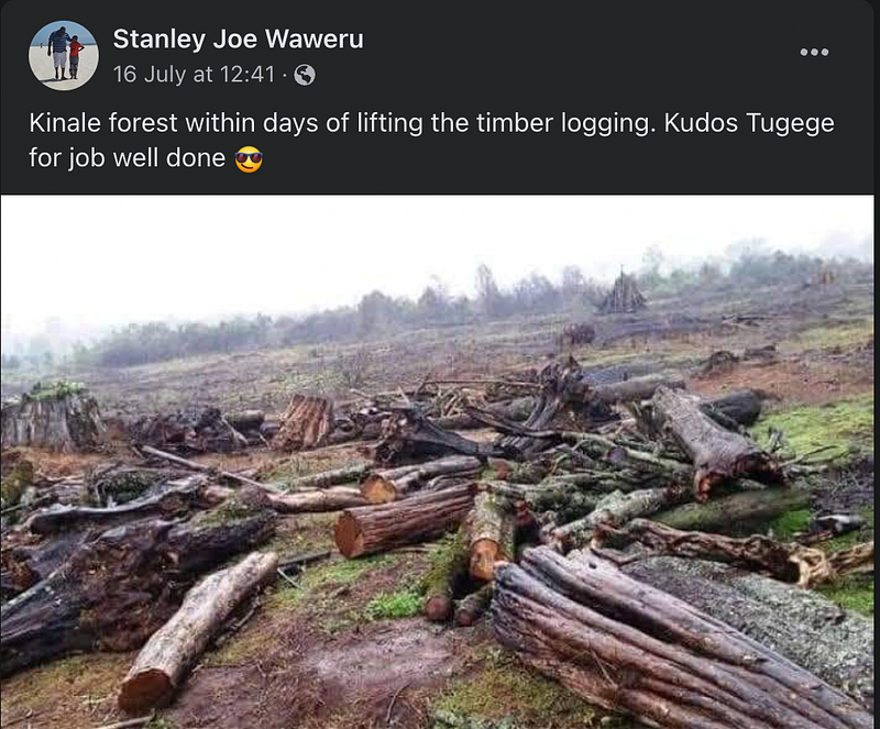 FALSE: This image is not of Kenya’s Kinale Forest days after the ...