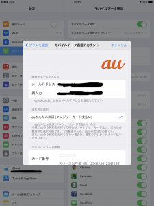 AppleSIM00022