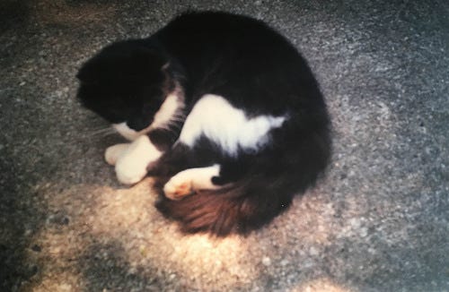 Florida Trip late 1990s-10