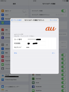 AppleSIM00028