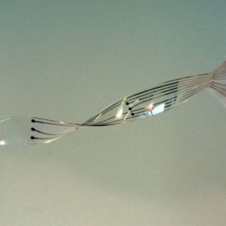Flexible spinal cord implants will let paralyzed people walk