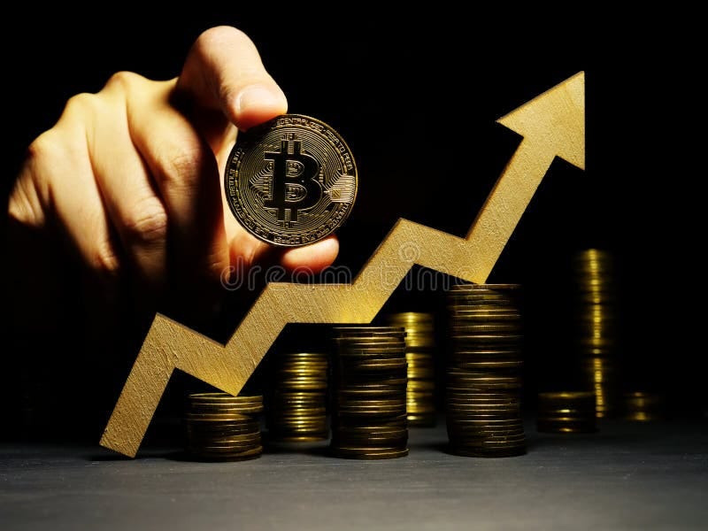 I Lost $238,000 to Stellarcapitalltd.com: A New Zealand Geologist’s Retirement Nightmare