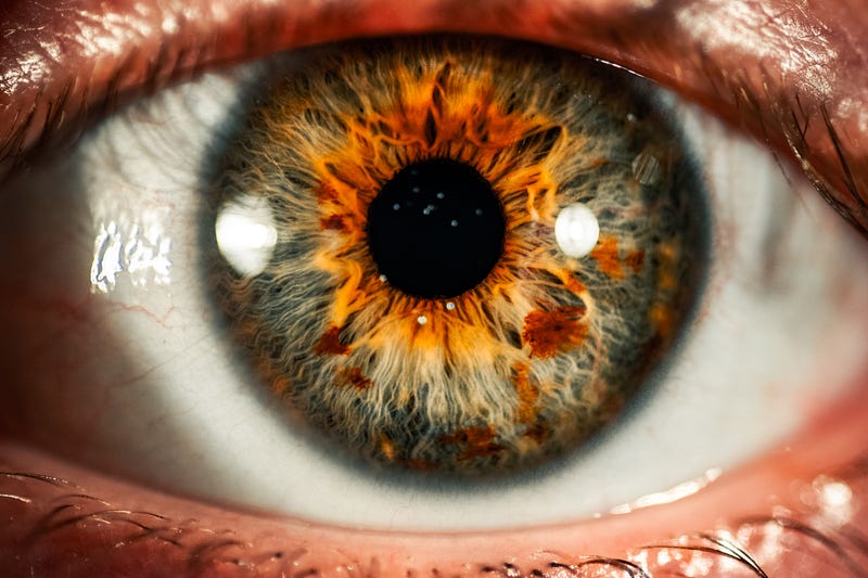 A human eye in close-up