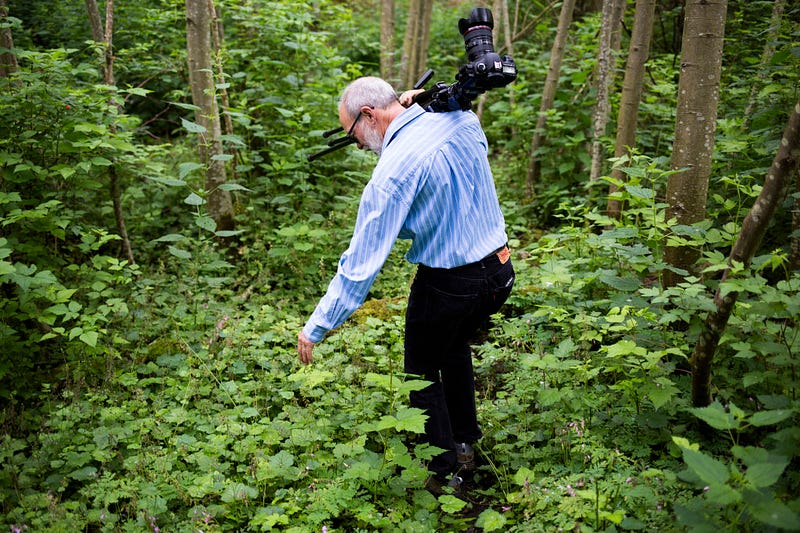 With his camera and tripod slung over his shoulder, Turner wades through low-lying plants while locating the Washington state native wildflower Bleeding Heart Wednesday, May 28, 2015, in Bellingham, Washington. "You never know where you're going to find [the wildflowers]," Turner says. "They could be thousands of feet up in the mountains or just on the side of the road." Jake Parrish / Klipsun Magazine 