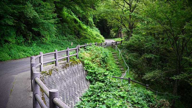 A road with a small mountain path veering off it that leads to Juninotaki Falls at the base of Mt. Kyogakura, one of the 100 Famous Mountains of Yamagata located in Sakata City, in the Tohoku region of North Japan.