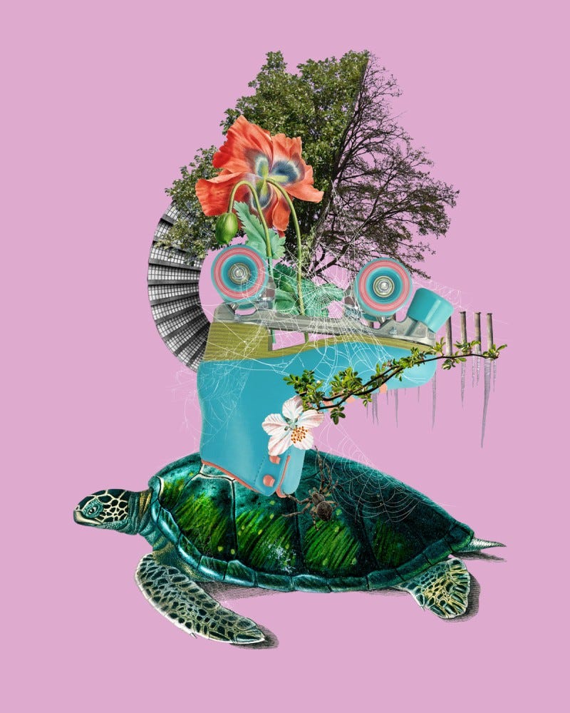 Collage elements: Pink background, Retro pink and blue roller skate upside down on a tortoise, spider and spider webs on them, background includes Icicles and columns a tree in two seasons with leaves and without, poppies and a staircase to nowhere
