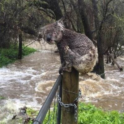 Spring Storms:Wild Weather Day in Australia