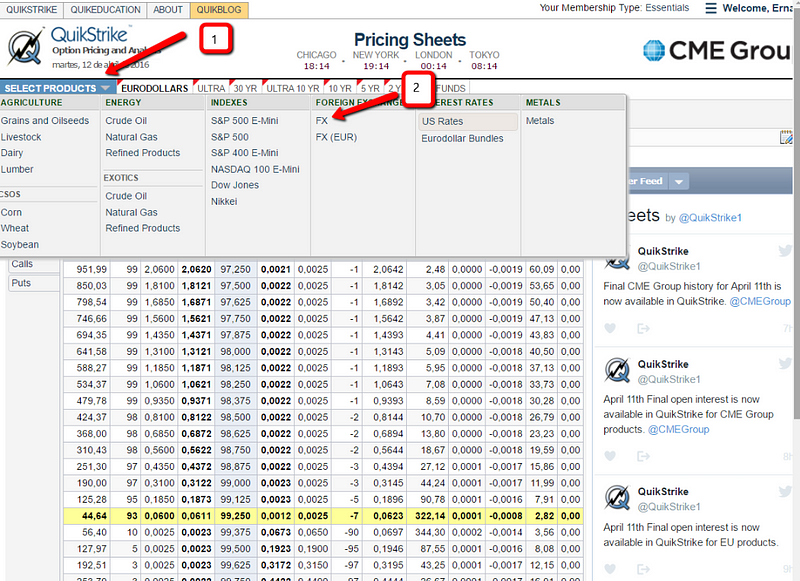 How To Define Your Bias In Currencies Through Forex Options - 