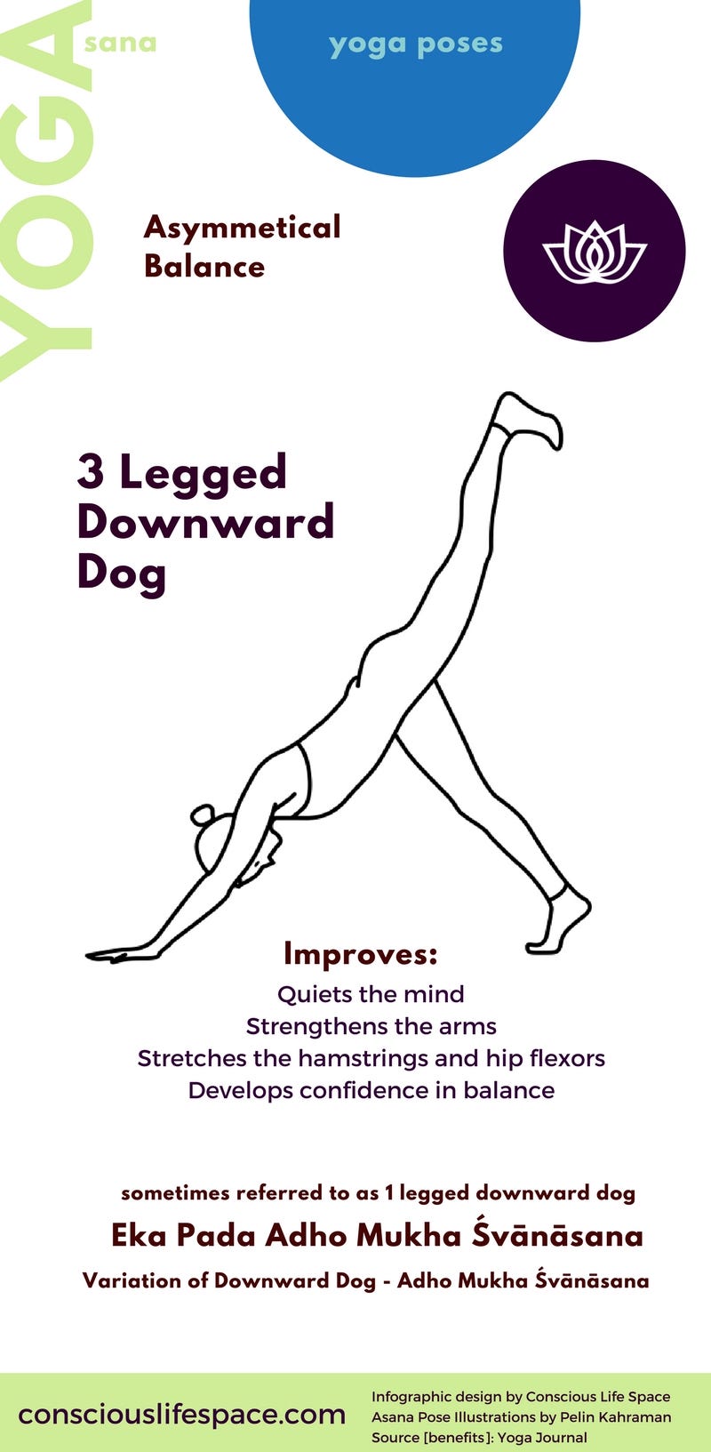3 legged downward dog asana - yoga pose infographic created by conscious life space CC4.0 Intl Attribution