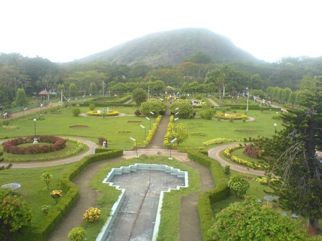 Malampuzha  Dam is famous for its greenery and picturesque view