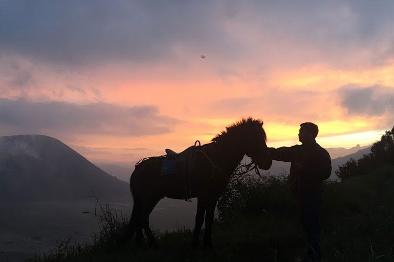 DI-28-destinasi-bromo-kuda-dan-matahari-terbit