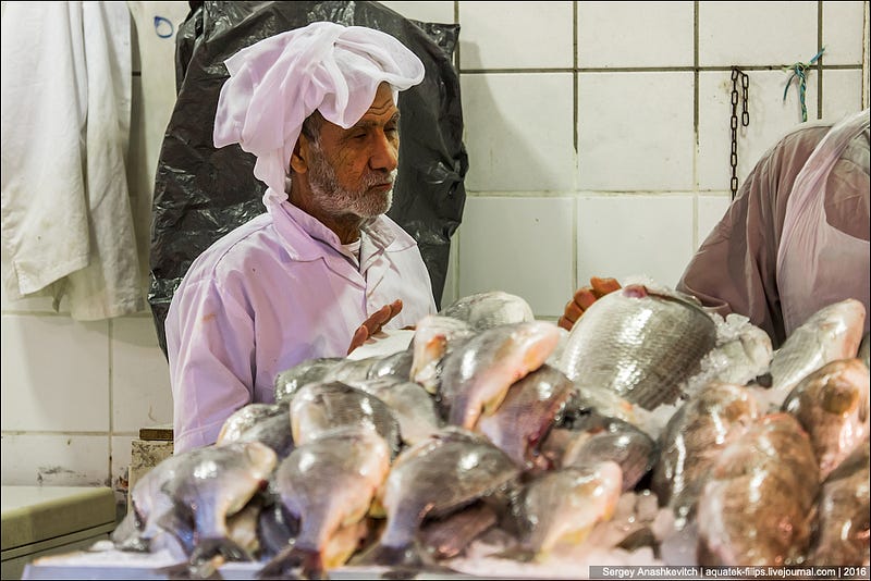 Kuwait Fishmarket / Рыбный рынок в Кувейте