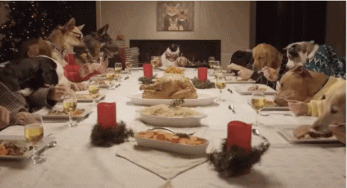 Image Description: GIF of 10 dogs and 1 cat dressed in human clothes and sitting around a dinner table, with a turkey and holiday side dishes in the center of the dining table. The animals have human hands assisting them while they eat, as if they themselves have human hands. The cat is sitting at the head of the table while the dogs, alongside, are eating their food quickly.