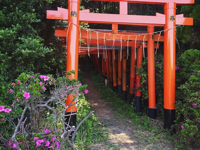 A series of torii gateways at Fushimi Hakuseki Inari Shrine near the base in Yokosuka