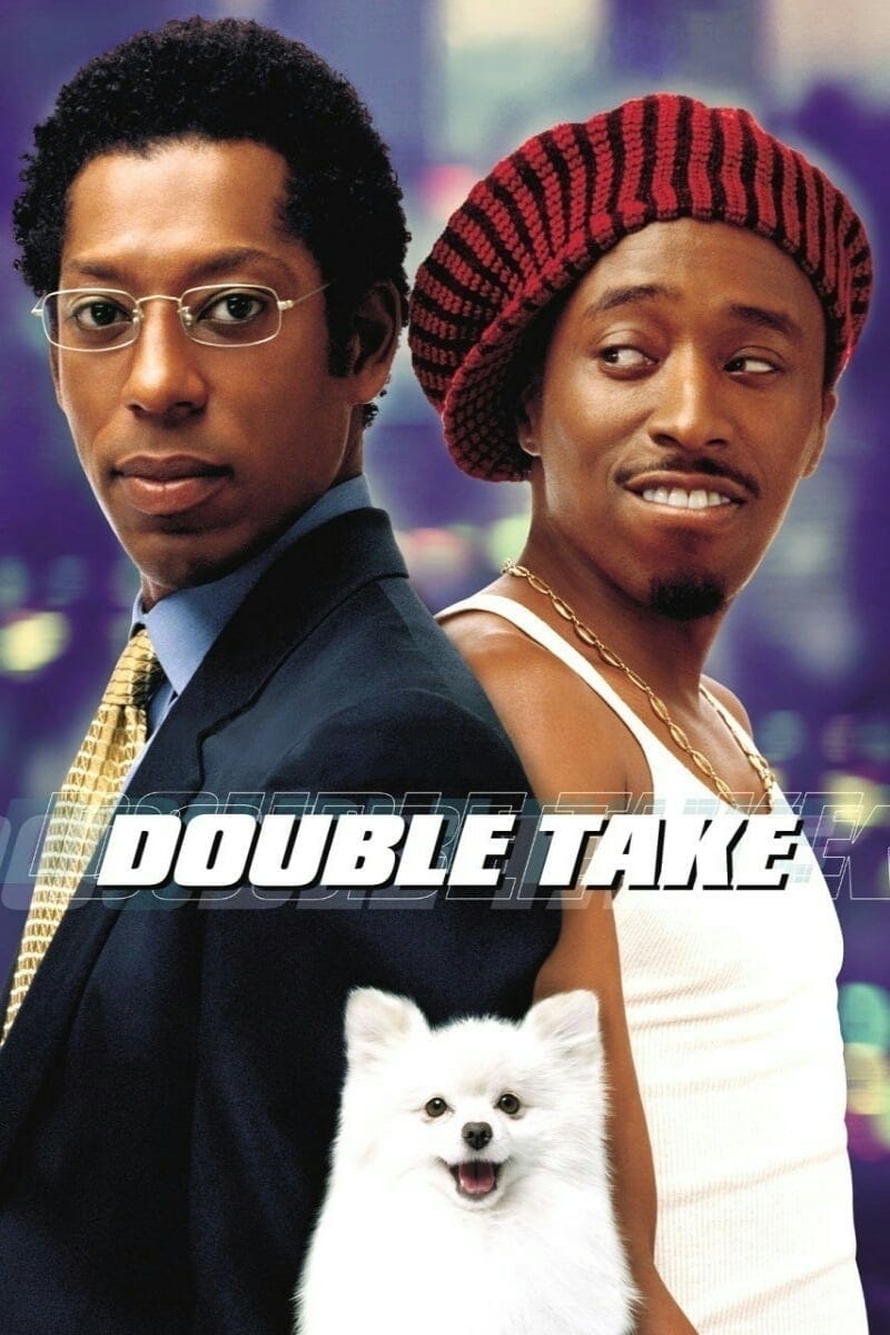 Double Take (2001) | Poster