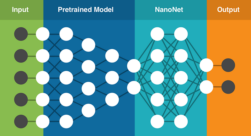 Transfer Learning in Nanonets