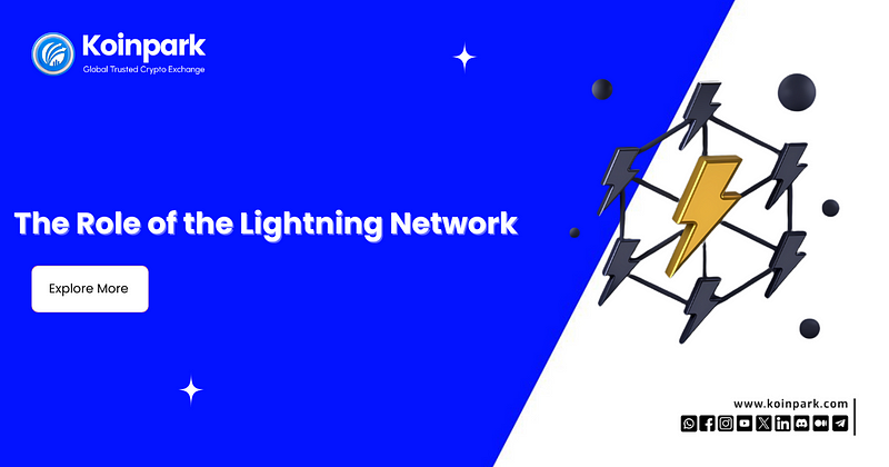 The Role of the Lightning Network
