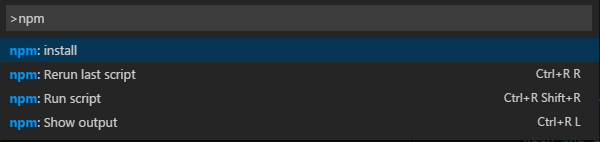 npm cmd in Visual Studio Code