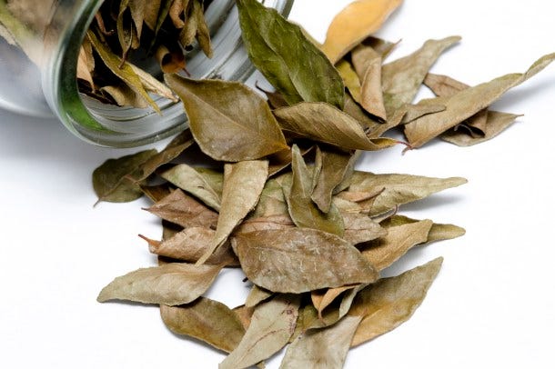 Dried bay leaves in a container