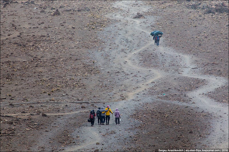Kilimanjaro