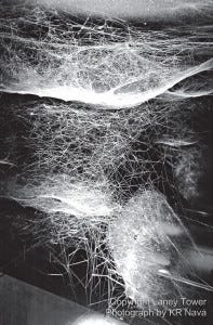 Argentine architect Tomás Saraceno’s experimental collection of spiderwebs. 