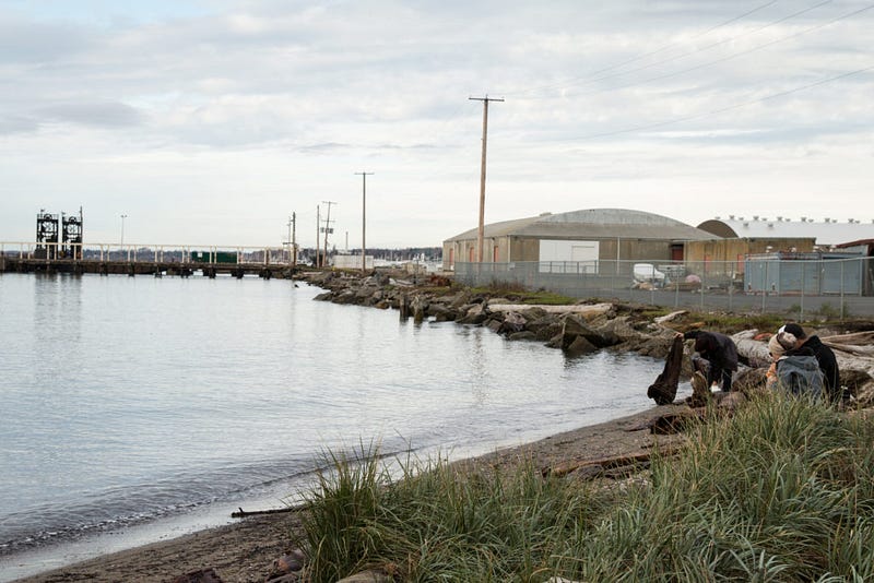 Glass Beach and the neighboring site of a former municipal landfill will undergo cleanup and renovation to create Cornwall Beach Park, which is projected to be Bellingham's largest waterfront park.