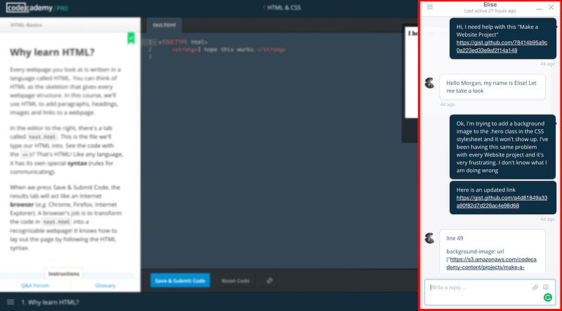 Codecademy Pro Team.png
