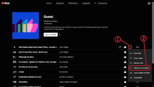 imagem mostrando a opção 'adicionar a uma playlist'