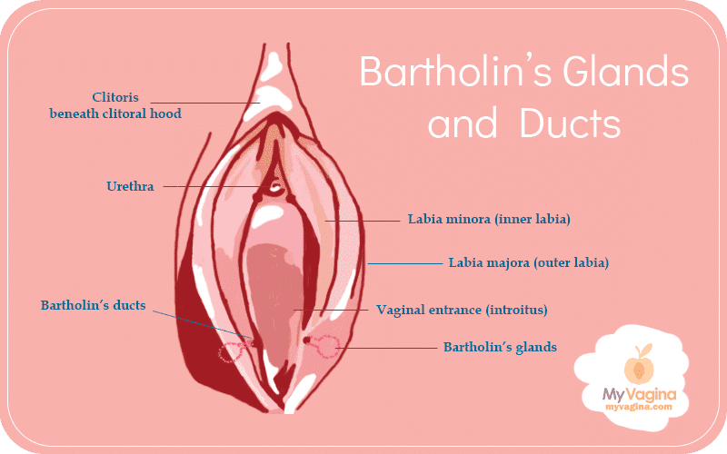 Bartholin’s cysts