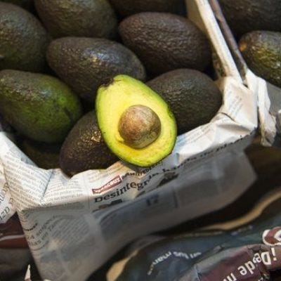 Rising avocado prices fuelling illegal deforestation in Mexico