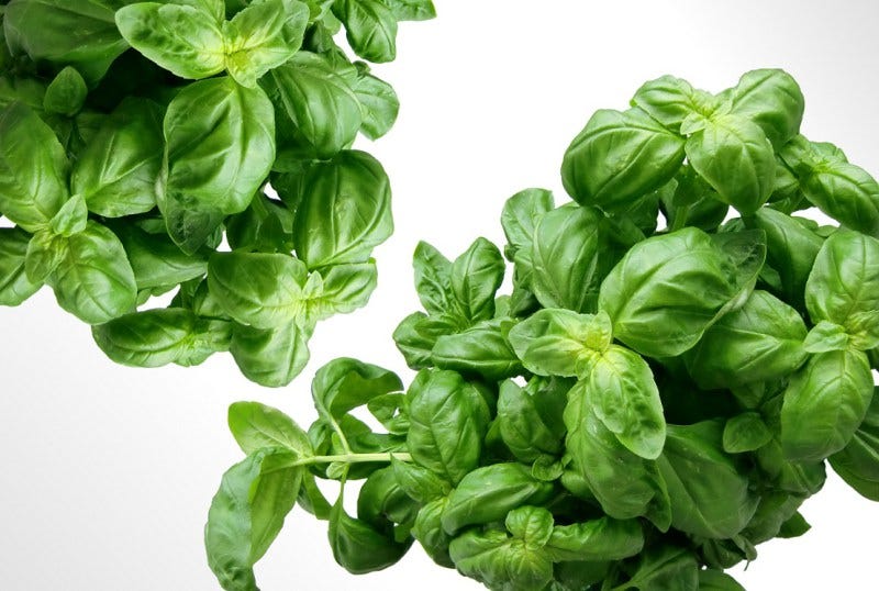 Ayurveda goes much beyond herbs and their medicinal value. Its a science in itself.