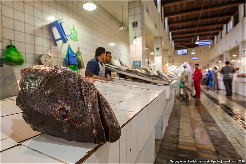 Kuwait Fishmarket / Рыбный рынок в Кувейте