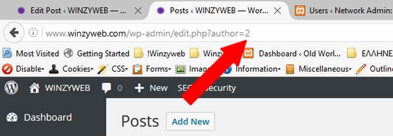 wordpress security