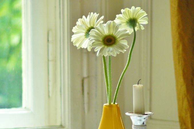 Best Anniversary Flowers by Year and What They Quietly Say