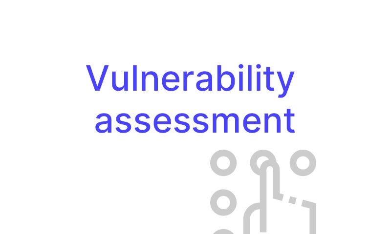 Vulnerability Assessment: A Quick Overview