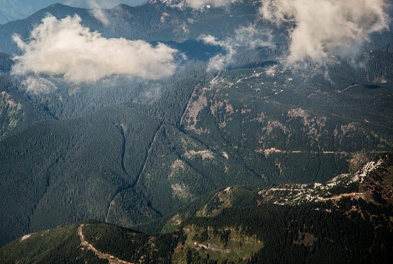 A cleared stripe of land, referred to by many locals as 'the cut', demarcates the U.S.-Canada border from the Pacific Ocean to Lake Superior. "It's that obvious so that people know they're crossing," said Brooks Madden, deputy agent for the Bellingham border patrol station. 