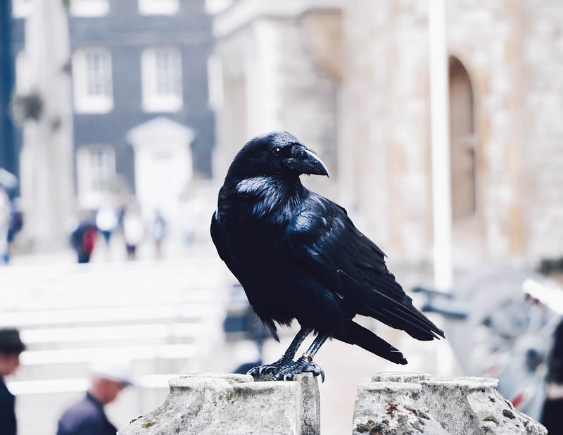 “Why is a Raven Like a Writing Desk?” Solved: The Ultimate Guide