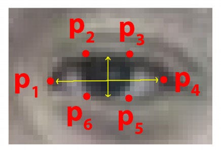 Quick, Draw 🖌️ 🖼️. Can a neural network learn how to…, by Akshay Bahadur  👨‍🚀