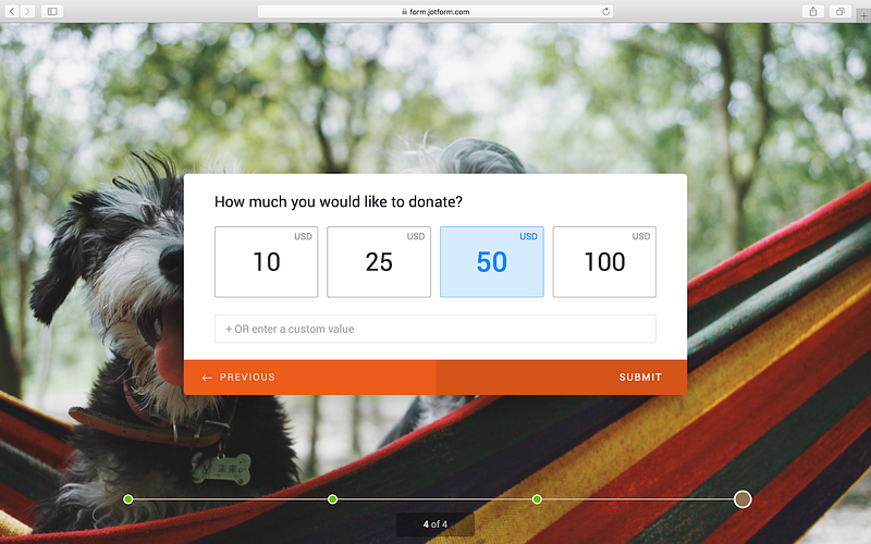 Donation Amount JotForm Online Form