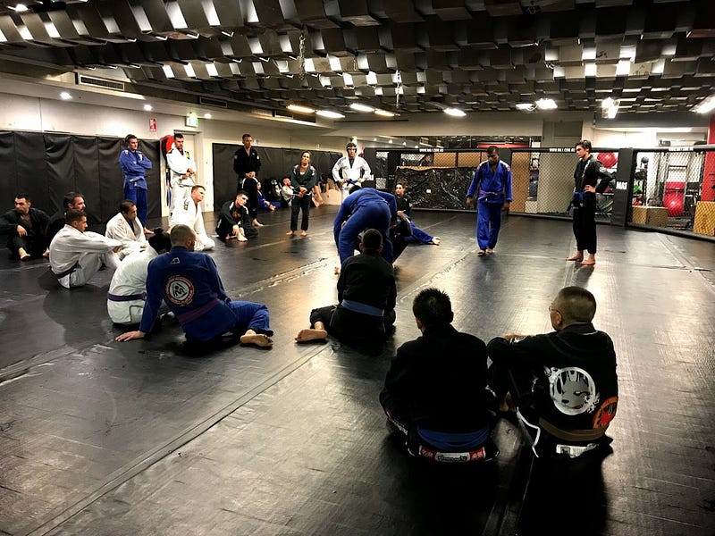 Absolute MMA (Melbourne, Australia) – BJJ Globetrotters