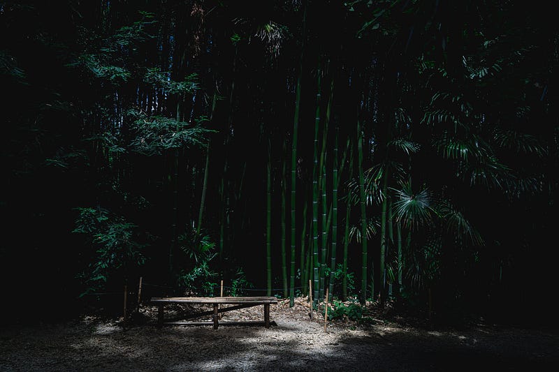 hutan bambu